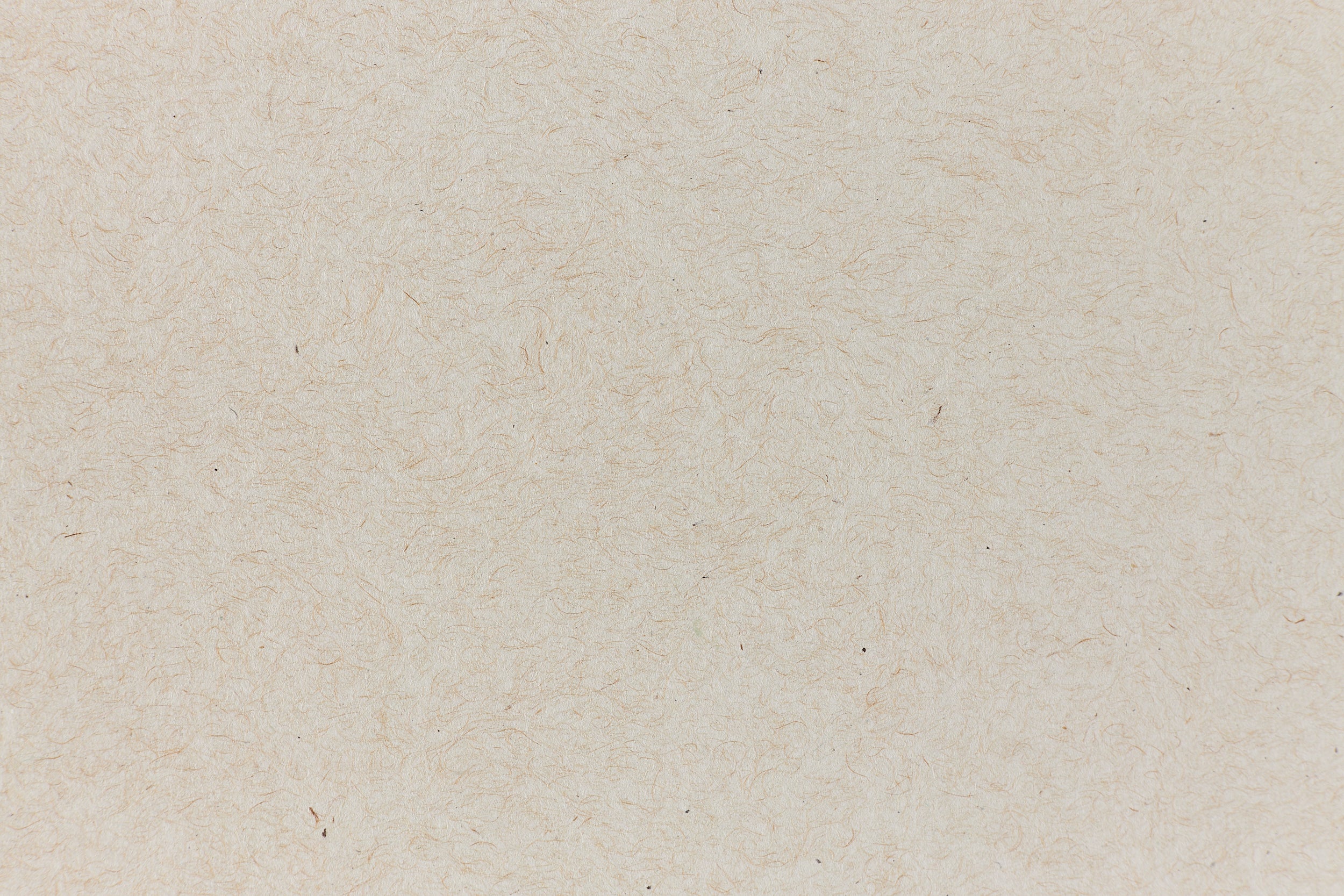 Index Off-White Kraft Paper (Kraft-Tone, Text Weight) – French Paper